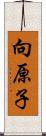 向原子 Scroll