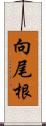 向尾根 Scroll