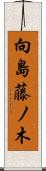 向島藤ノ木 Scroll