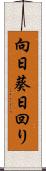 向日葵 Scroll