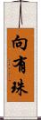 向有珠 Scroll