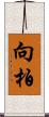 向柏 Scroll