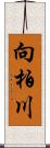 向柏川 Scroll