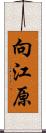 向江原 Scroll