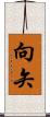 向矢 Scroll