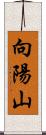 向陽山 Scroll