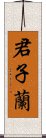 君子蘭 Scroll