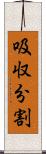 吸収分割 Scroll