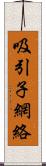 吸引子網絡 Scroll