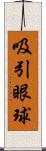 吸引眼球 Scroll