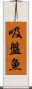 吸盤魚 Scroll