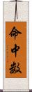 命中数 Scroll