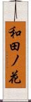 和田ノ花 Scroll