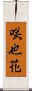 咲也花 Scroll