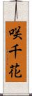 咲千花 Scroll