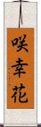 咲幸花 Scroll