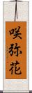 咲弥花 Scroll