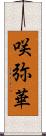 咲弥華 Scroll