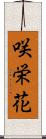 咲栄花 Scroll