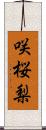 咲桜梨 Scroll