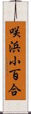 咲浜小百合 Scroll