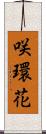 咲環花 Scroll