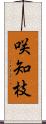 咲知枝 Scroll