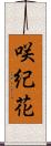 咲紀花 Scroll