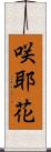咲耶花 Scroll