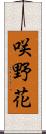 咲野花 Scroll