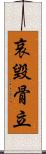 哀毀骨立 Scroll