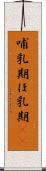 哺乳期 Scroll