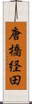 唐橋経田 Scroll