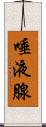 唾液腺 Scroll