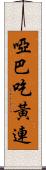 啞巴吃黃連 Scroll