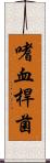 嗜血桿菌 Scroll