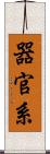 器官系 Scroll