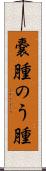 嚢腫 Scroll