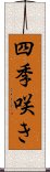 四季咲き Scroll