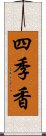 四季香 Scroll