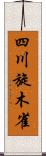 四川旋木雀 Scroll