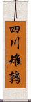 四川雉鶉 Scroll