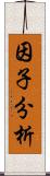 因子分析 Scroll