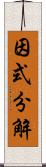 因式分解 Scroll