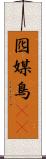 囮 Scroll