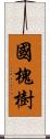 國槐樹 Scroll