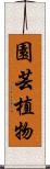 園芸植物 Scroll