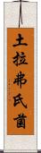 土拉弗氏菌 Scroll