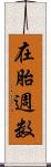 在胎週数 Scroll