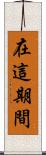 在這期間 Scroll